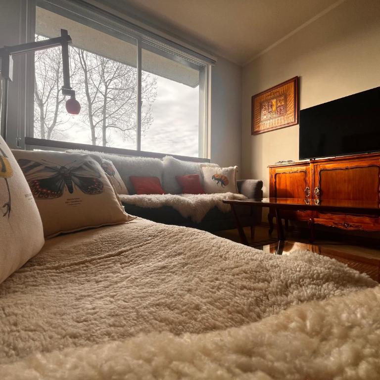 Cozy, centrico, 2D, 2B, 2C con estacionamiento - Apartamento de 2 dormitorios - 27