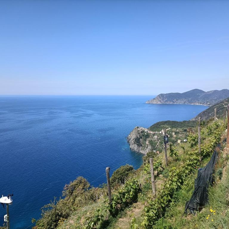 Casa Oleaster Cinque Terre - One-Bedroom Apartment - 24