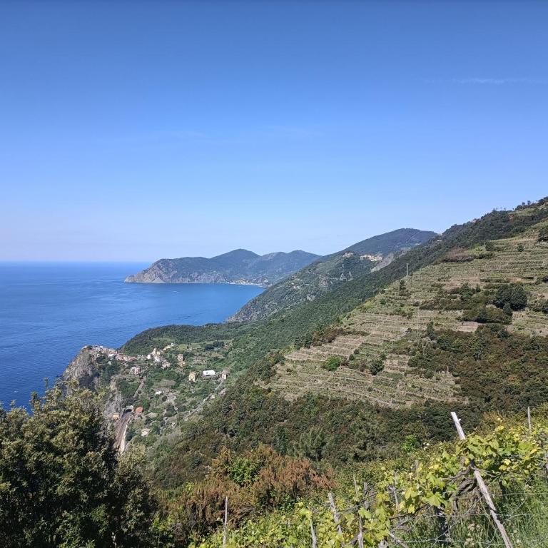 Casa Oleaster Cinque Terre - One-Bedroom Apartment - 26