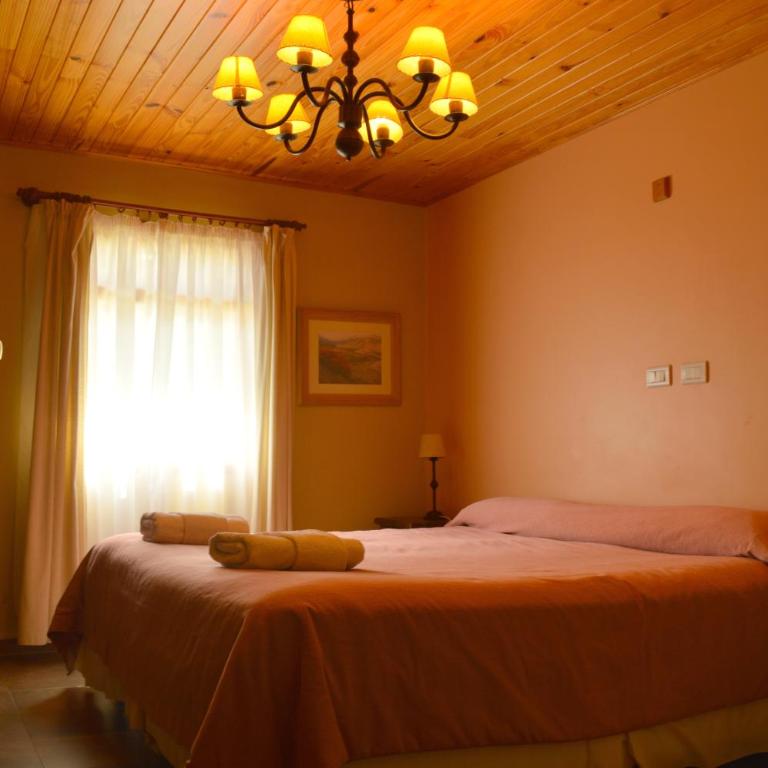 Confin Patagonico - Double Room - 2