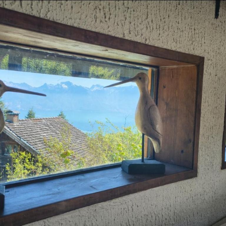 Châlet Ô Perchoir du Lac Léman - Vue panoramique lac et montagnes - Chalet - 30