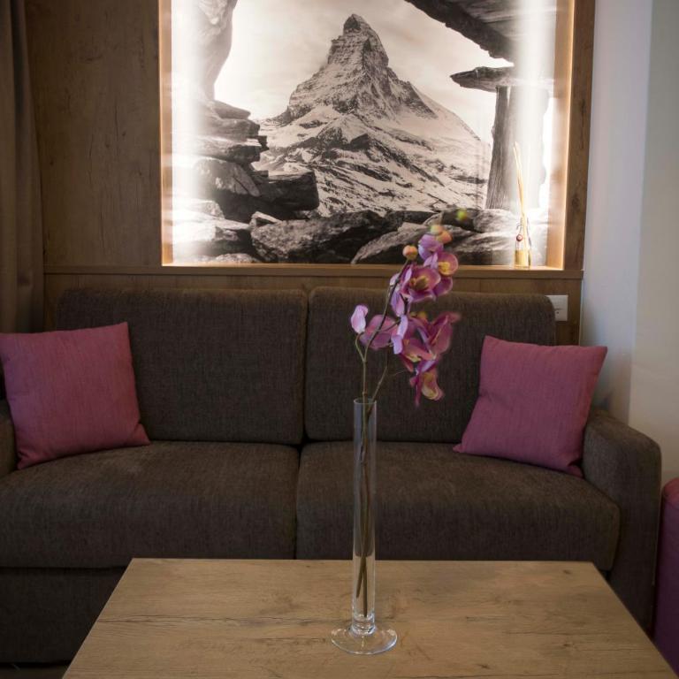 Patricia self-check-in Apartments & Spa Access at Alpen Resort - Superior Studio - 3