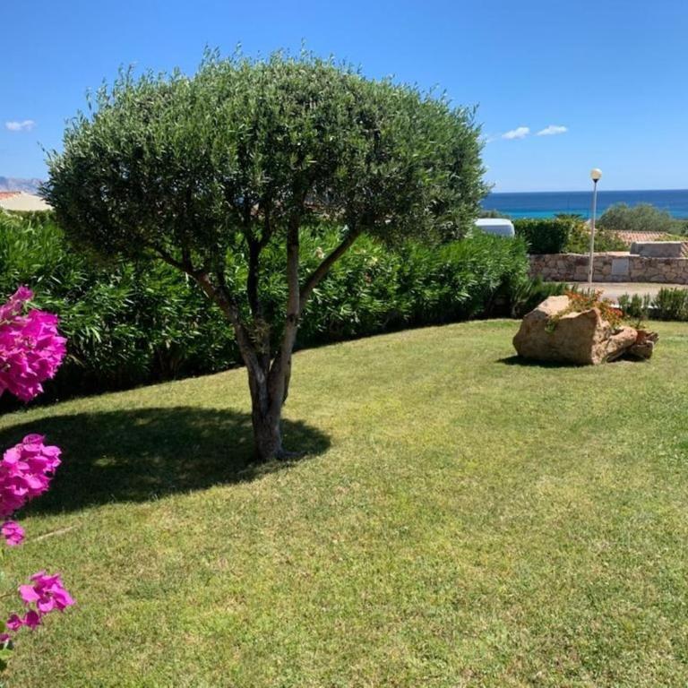 Villino Costa Caddu - Three-Bedroom Apartment - 50
