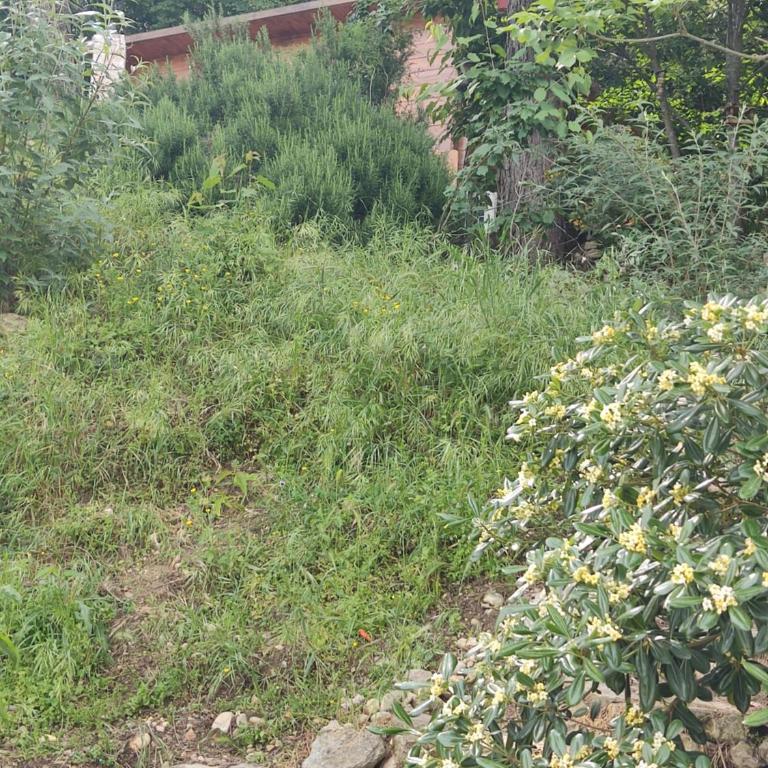 Chalet at Villa Don Quijote Nice - Chalet 1 Chambre - 14