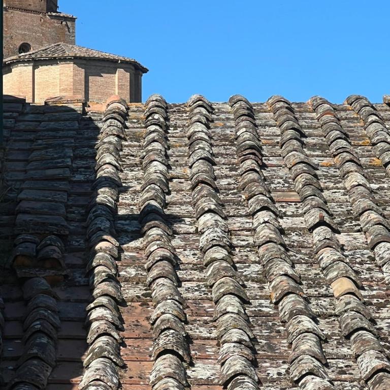 Luxury Apartment in the Historic Centre of Siena - Three-Bedroom Apartment - 62