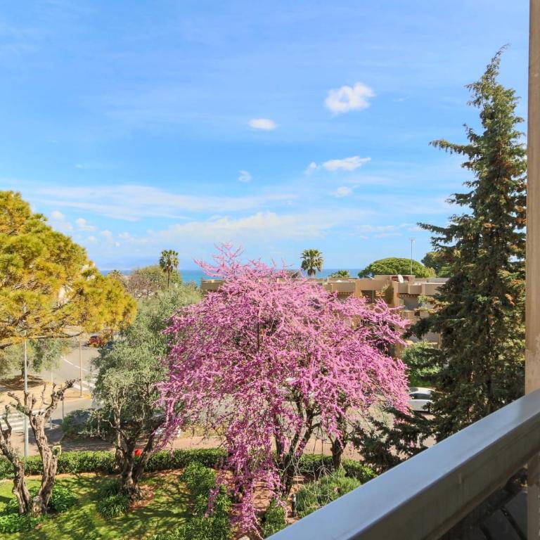 Beautiful flat with Sea View Terrace Pool Parking portative AC- BENAKEY - Appartement - 5