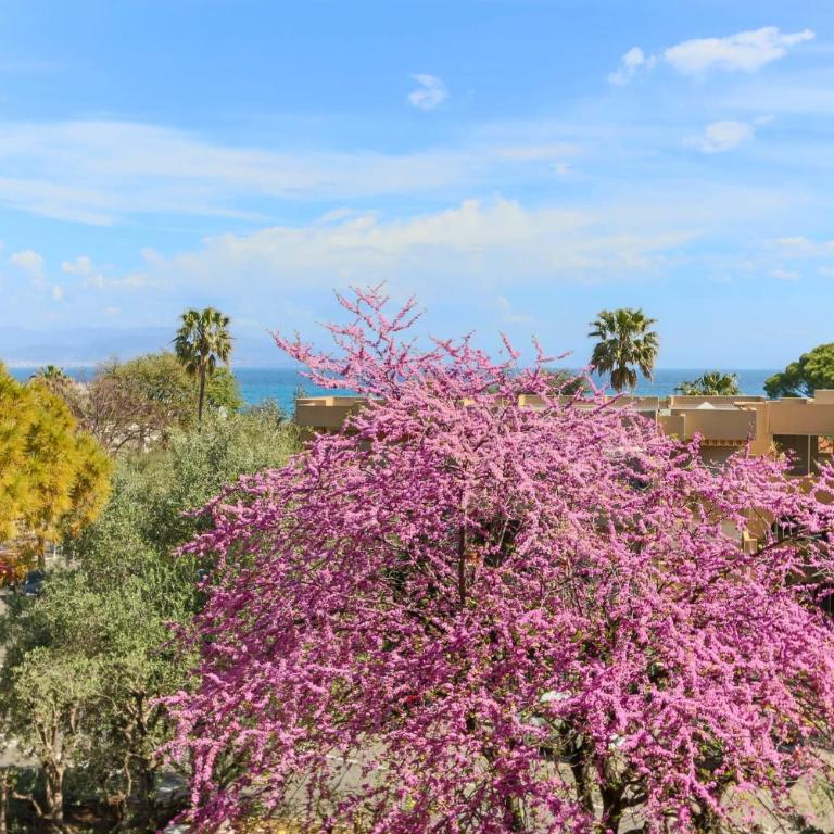 Beautiful flat with Sea View Terrace Pool Parking portative AC- BENAKEY - Appartement - 18