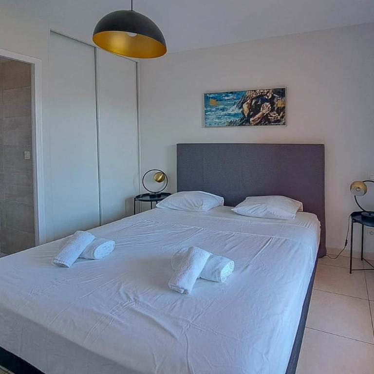 Modern House's Cannes - Swimming Pools AC and Garage - BENAKEY - Vacation Home - 9