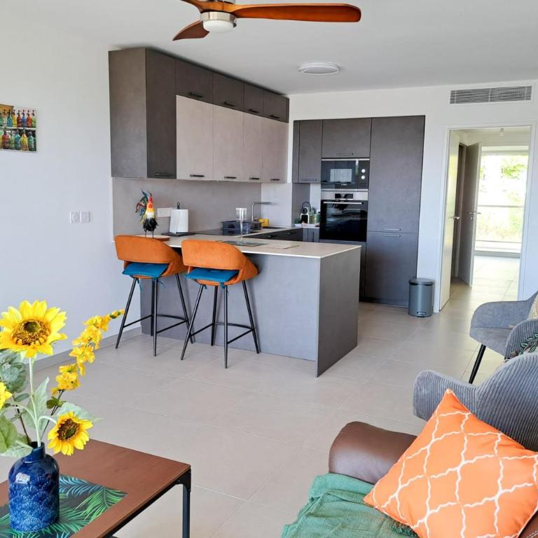 2B Near Vaugrenier AC terrace sea view swimming pool parking- BENAKEY - Apartment - 15