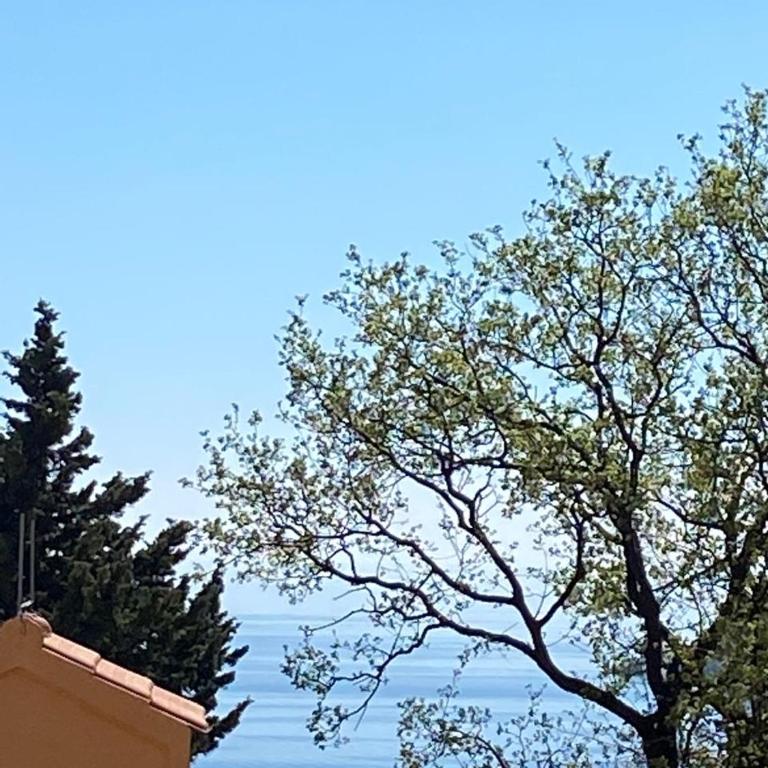 Njaro Del Mar Petrovac Bay 2 - Appartement 2 Chambres - 15