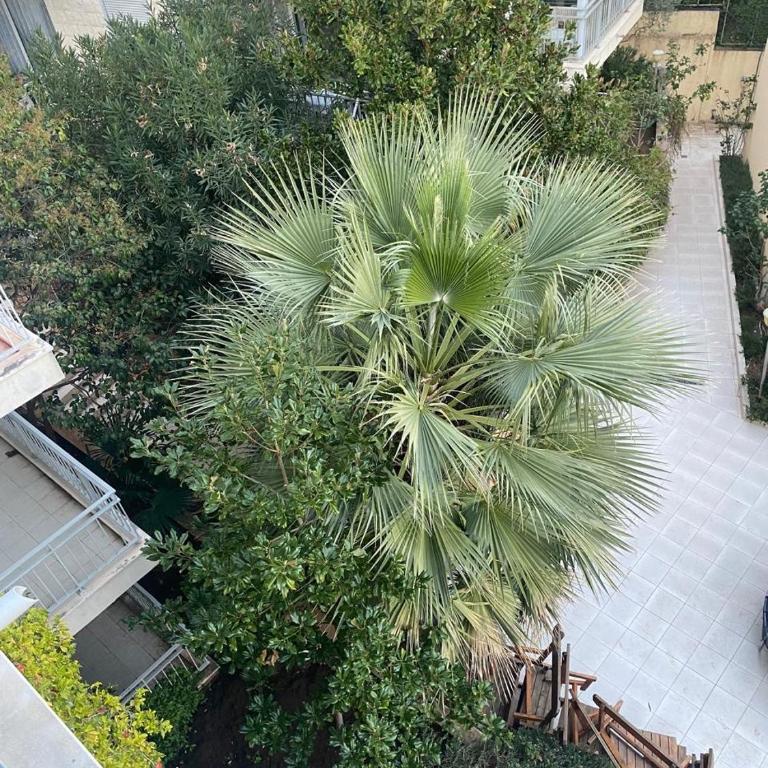 Njaro Del Mar Petrovac Bay 2 - Appartement 2 Chambres - 14