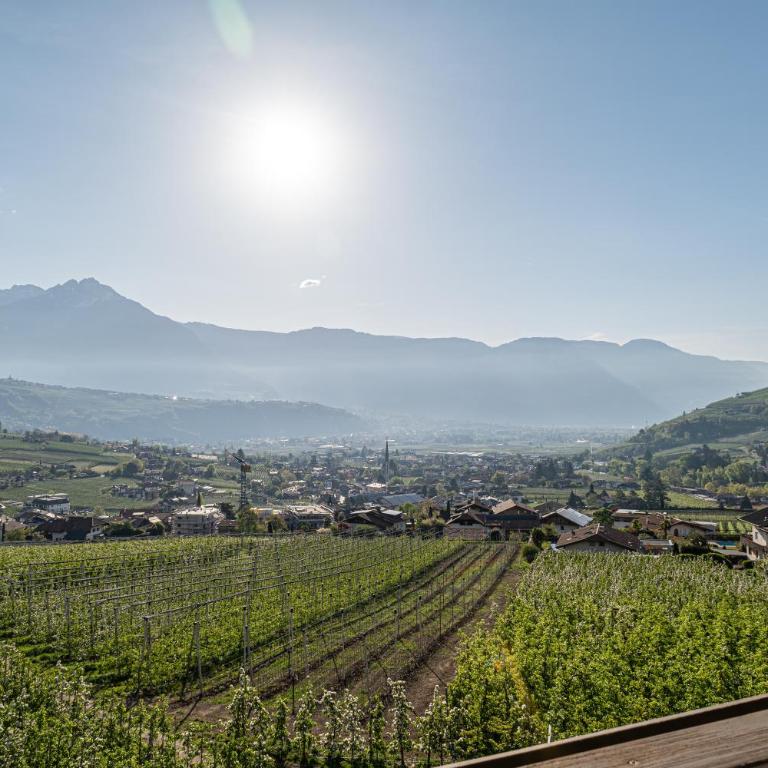 Baumgartnerhof - Appartamento con 1 Camera da Letto, Balcone e Vista Montagna - 9