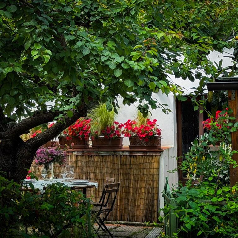 Casa di Leo - HelloElba - Casa con 2 Camere da Letto - 23