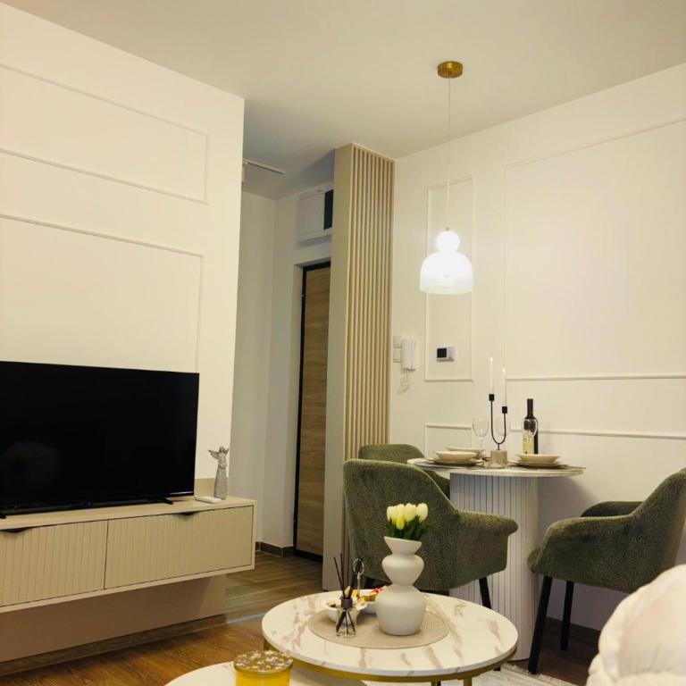 Apartman Tea Banja Koviljaca - One-Bedroom Apartment - 1