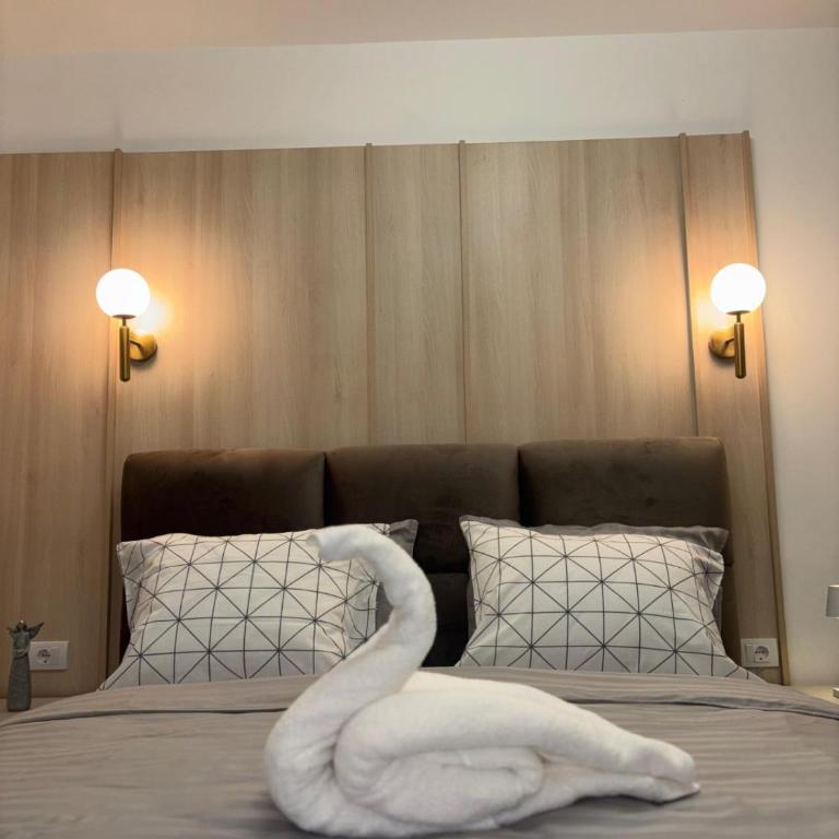 Apartman Tea Banja Koviljaca - One-Bedroom Apartment - 2