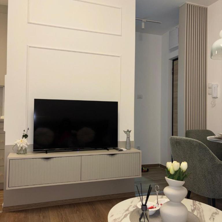Apartman Tea Banja Koviljaca - One-Bedroom Apartment - 4