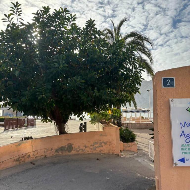 Vainilla, con piscina y playa - Apartamento de 2 dormitorios - 11