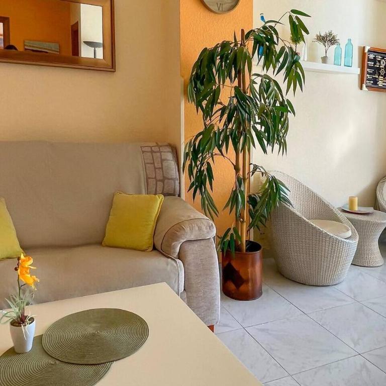 Vainilla, con piscina y playa - Apartamento de 2 dormitorios - 24