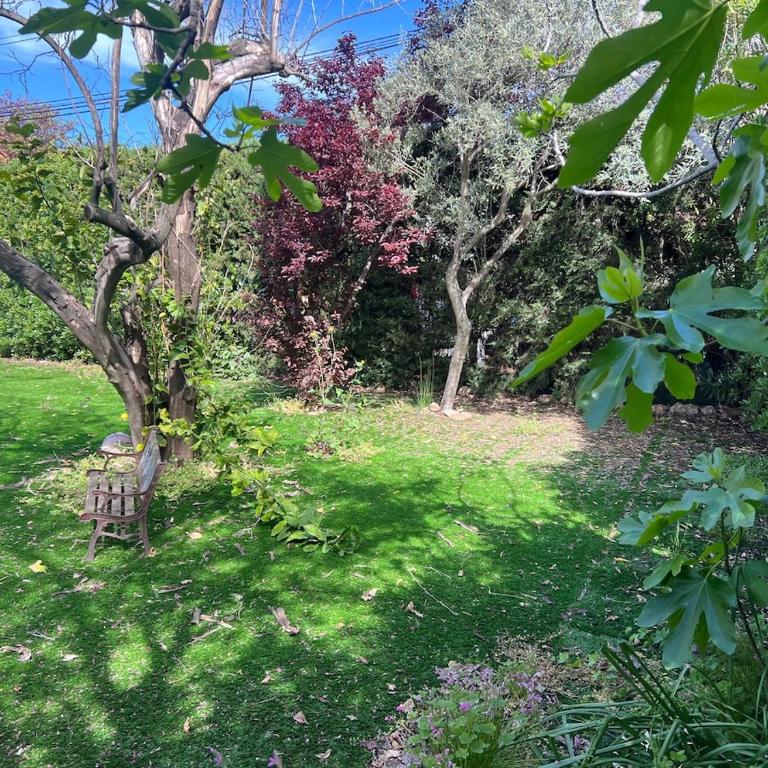 Villa Verde Esterel, centre ville, jardin arboré et plages - Casa de 4 dormitorios - 39