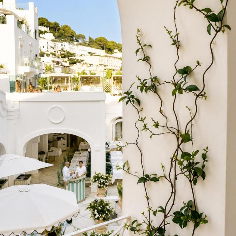 White Suite Capri - Appartamento Deluxe con 1 Camera da Letto - 8