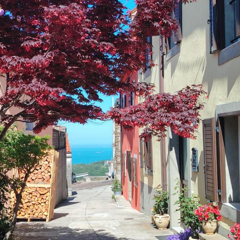 Trieste 10min dal Centro Villa Privata con Jacuzzi - Villa con 1 Camera da Letto - 4