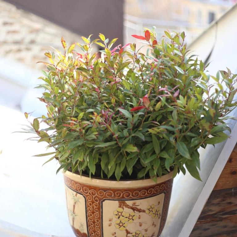 Dome Loft - City Center - Terrace - Apartment with Terrace - 23