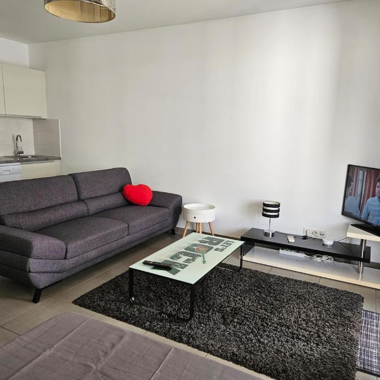Grand studio climatisé Ajaccio - Estudio con terraza - 3