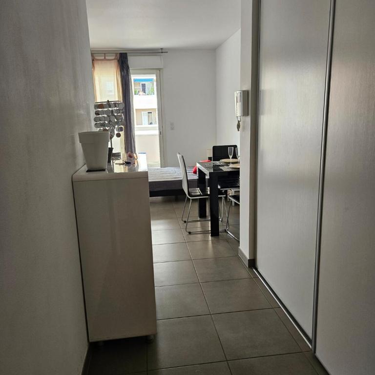 Grand studio climatisé Ajaccio - Estudio con terraza - 5