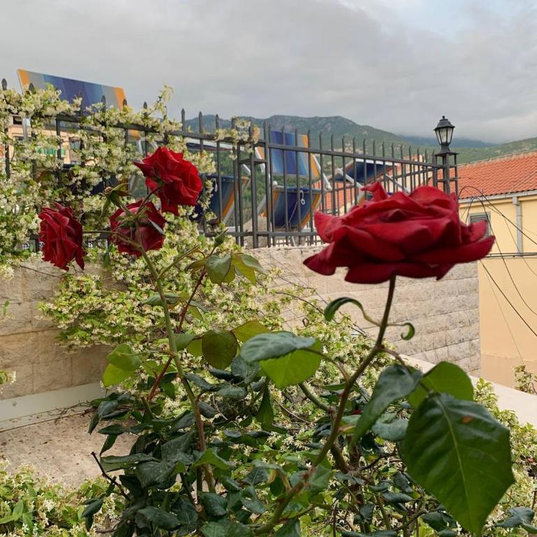 Becici Sunset with a pool - Three-Bedroom Apartment - 32