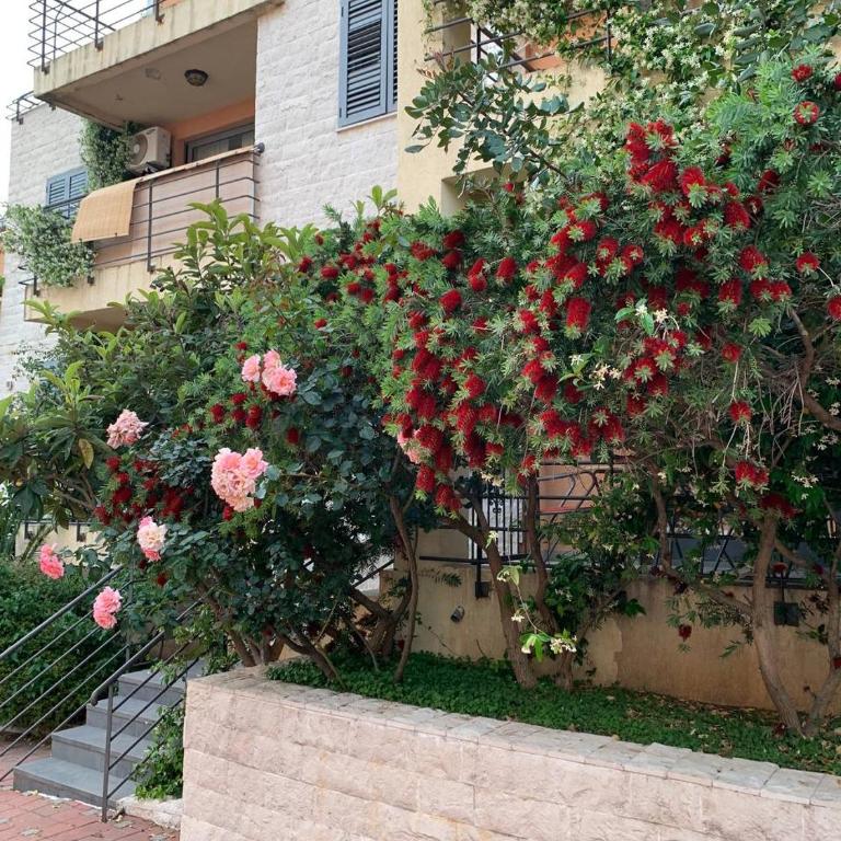 Becici Sunset with a pool - Three-Bedroom Apartment - 46