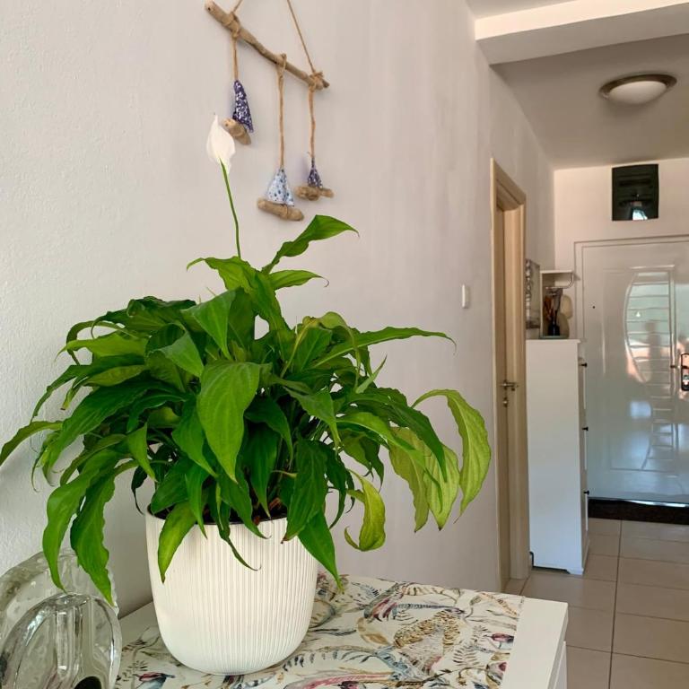 Becici Sunset with a pool - Three-Bedroom Apartment - 51