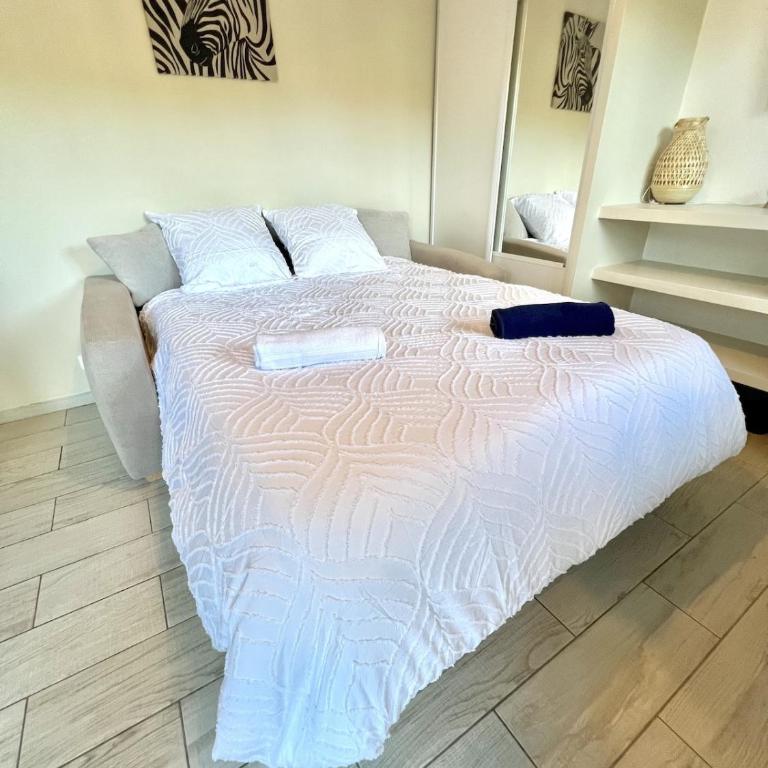 Charmant Studio Plage de la Salis, Belle Terrasse - Appartement 1 Chambre - 9