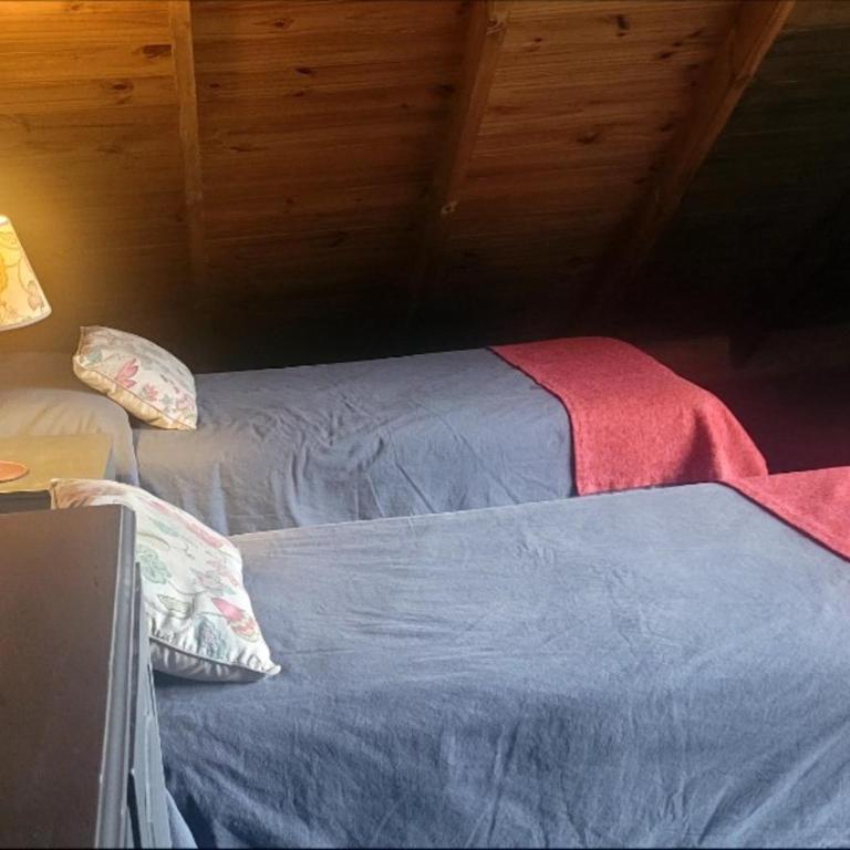 Cálidos departamentos en Melipal - de Patagoniago - Apartamento Dúplex - 7