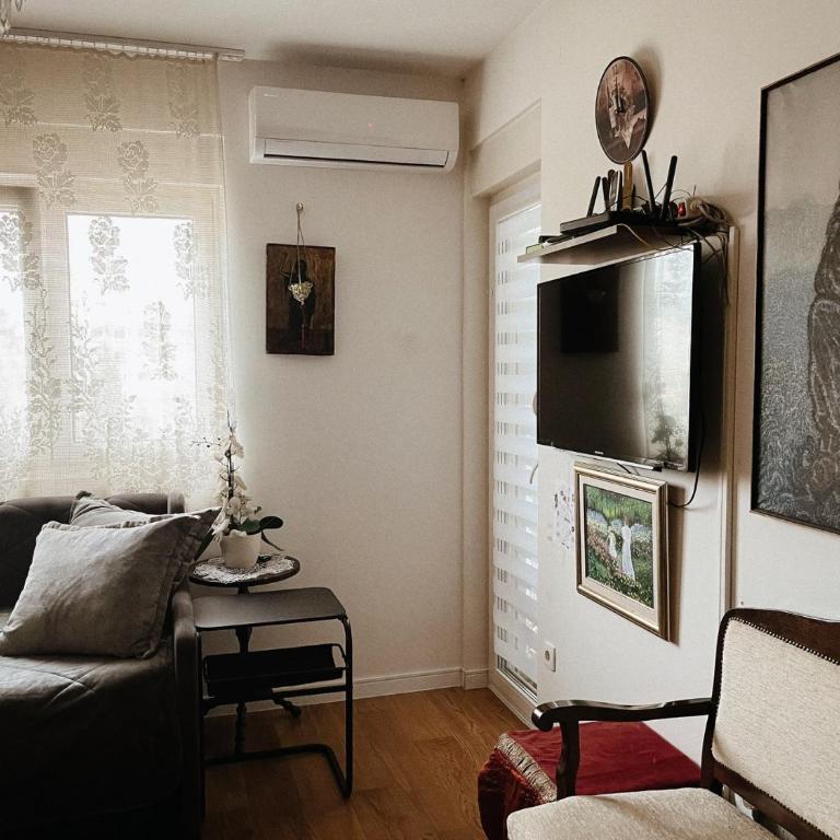 Petras Matejs - Apartman sa 1 Spavaćom Sobom - 3