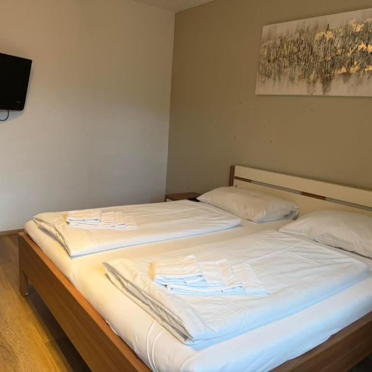 Appartement Schmittenblick - Apartment with Shower - 2