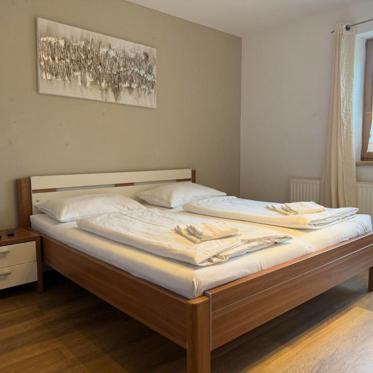 Appartement Schmittenblick - Apartment with Shower - 9