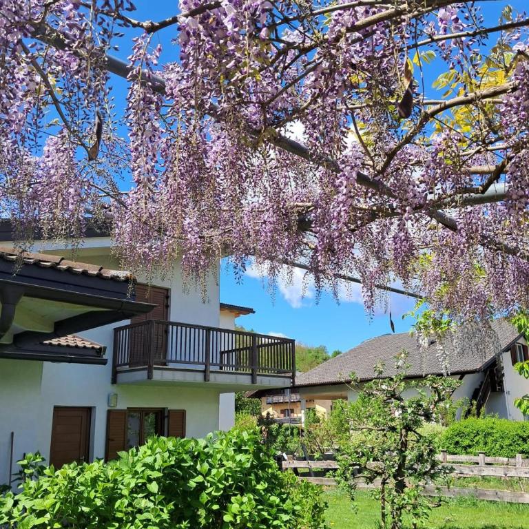Residenza Le Ortensie - One-Bedroom House - 8