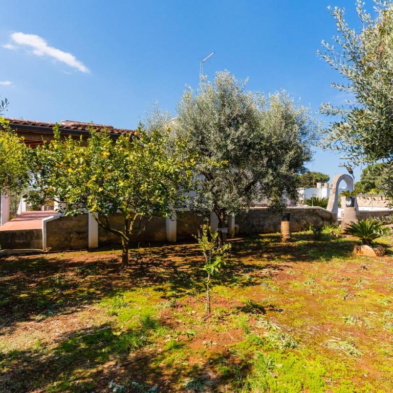 Villa Li Giannelli - Villa con 3 Camere da Letto - 12
