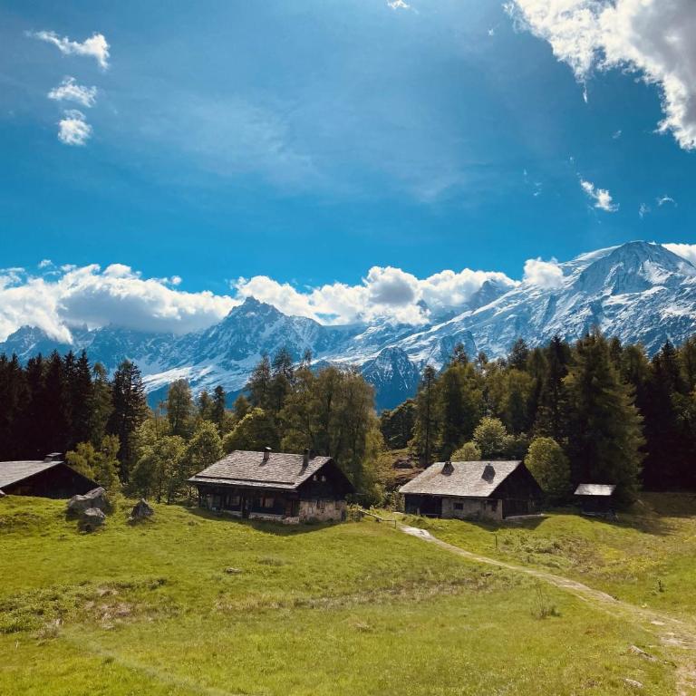 Spacious and stylish flat at the foot of the Mont-Blanc ideal for ski in ski out - Appartement - 17