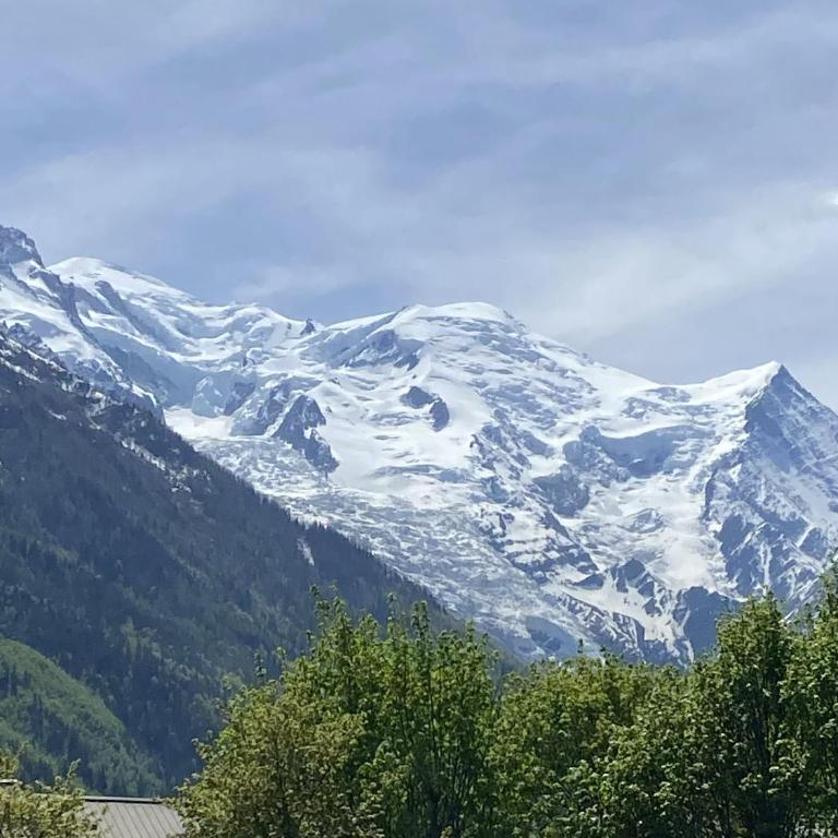 Spacious and stylish flat at the foot of the Mont-Blanc ideal for ski in ski out - Appartement - 18