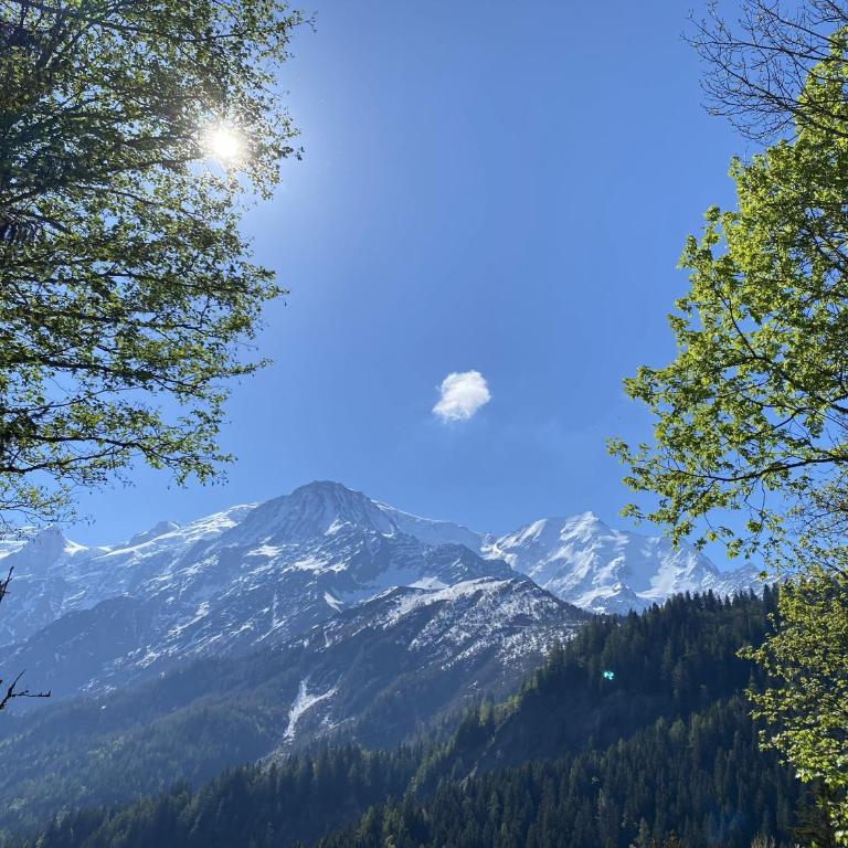 Spacious and stylish flat at the foot of the Mont-Blanc ideal for ski in ski out - Appartement - 19