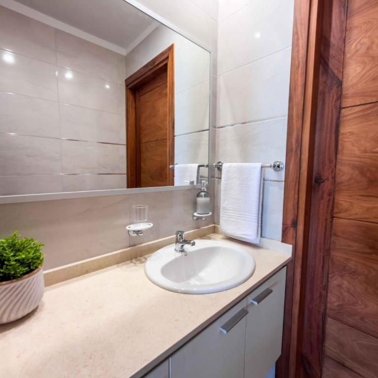 Depto de 2 habitaciones con vista a la cordillera para 4 adultos - Tupungato - Two-Bedroom Deluxe Apartment with Balcony - 6