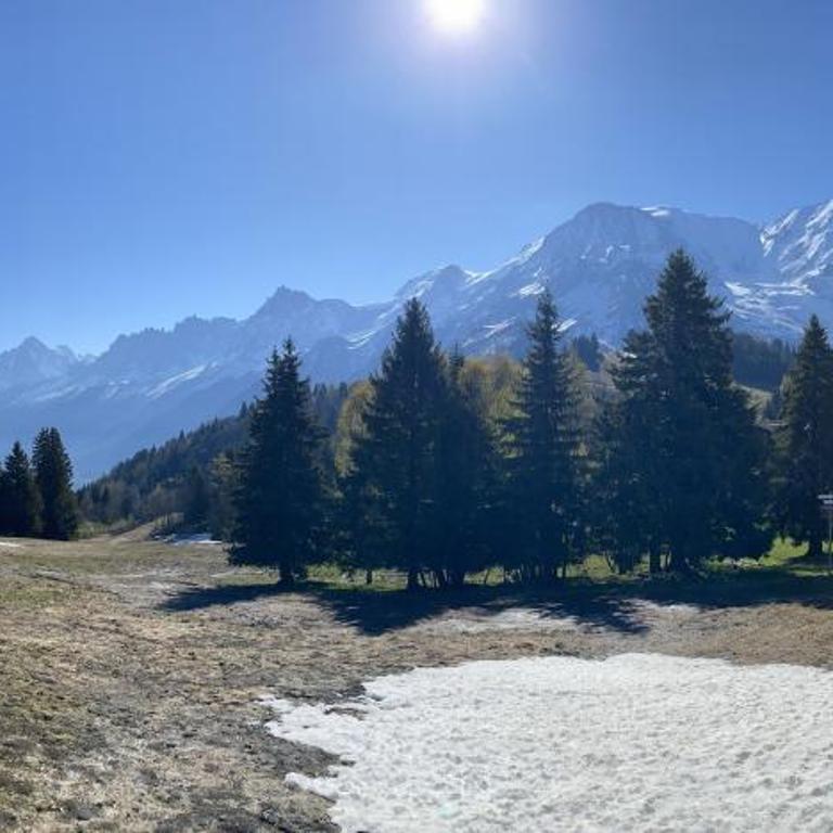 Spacious and stylish flat at the foot of the Mont-Blanc ideal for ski in ski out - Appartement - 20