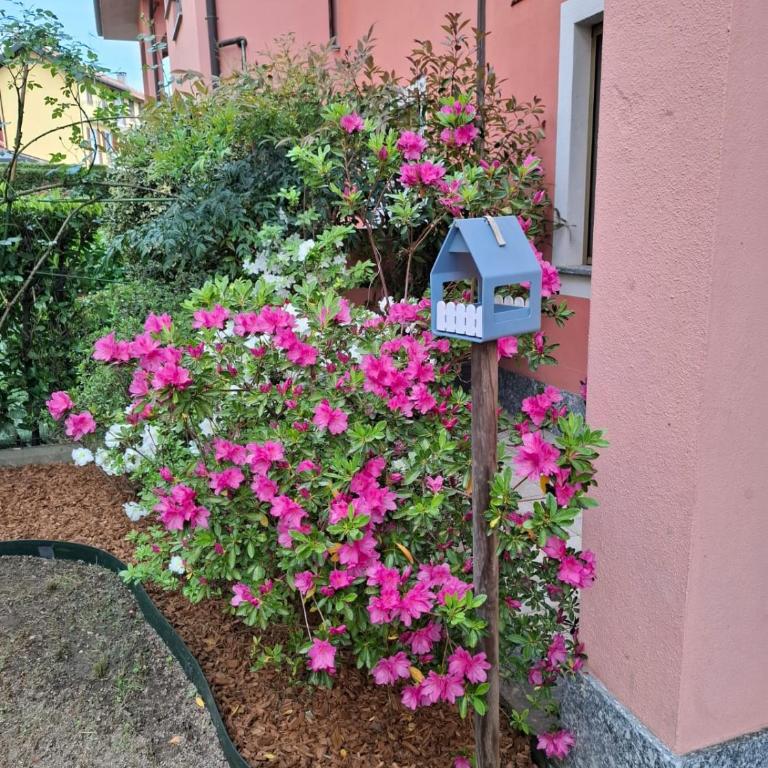 Arona Lake Maggiore Via San Luigi Apartment - Appartamento con 1 Camera da Letto - 1
