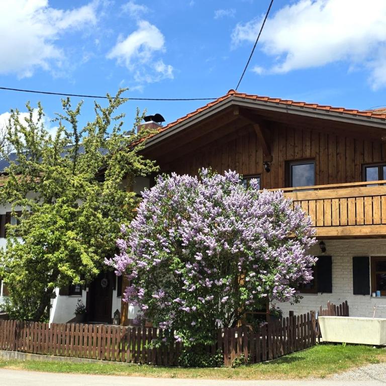 Landhaus Jörg - Giebelwohnung Gipfelstürmer mit Balkon, naturnahe Lage, Hunde willkommen - Two-Bedroom Apartment - 35