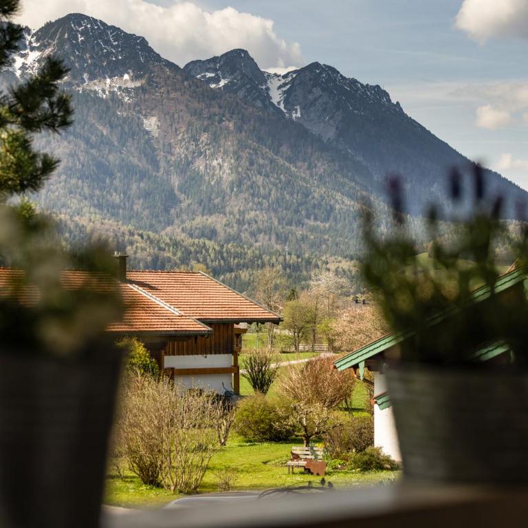 Hubertus Appartements Inzell - Apartment - 1
