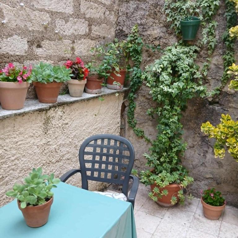 Terrasse fleurie - Appartement avec Terrasse - 4