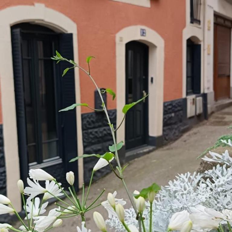 Villa Sérénité appartement au centre ville n 5 - One-Bedroom Apartment - 16