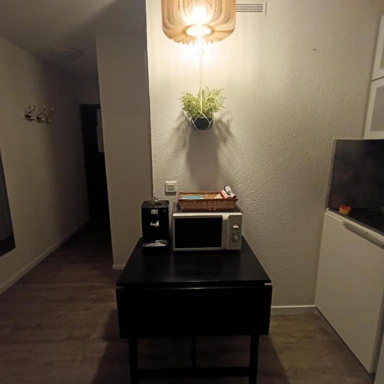 STUDIO Grande Plage de BIARRITZ - Studio - 3