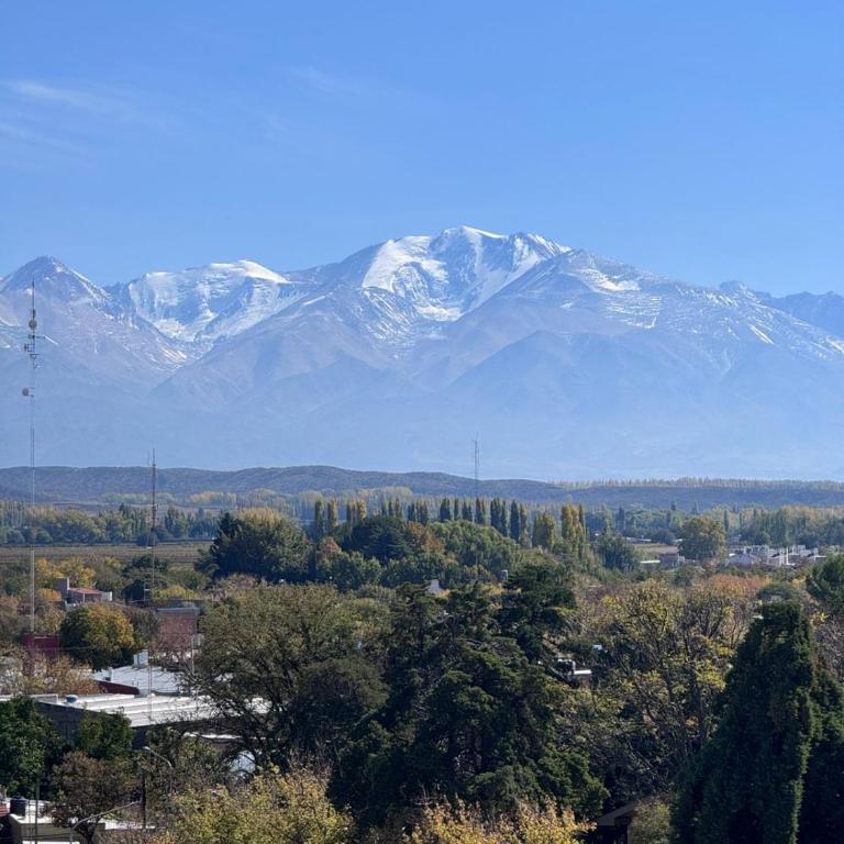 Departamento de 1 habitacion con vista a la cordillera para 2 adultos - Tupungato - One-Bedroom Apartment - 17